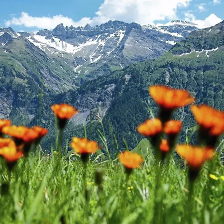 Stunning Mountain View Chalet In Holiday home *